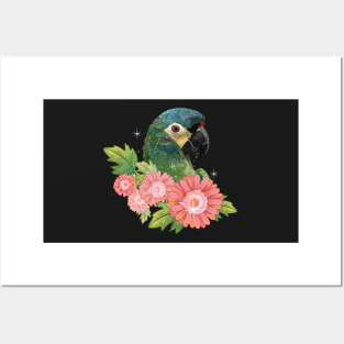 Severe Macaw Posters and Art